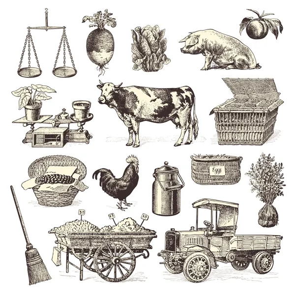 Дизайн-элементы фермерского рынка — стоковый вектор