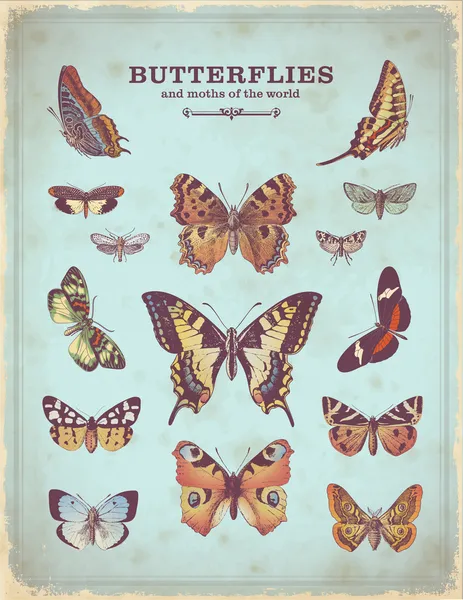 Vintage bunte Schmetterling Illustrationen — Stockvektor