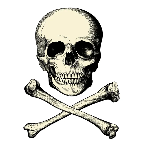 Skull and crossbones — Stock Vector