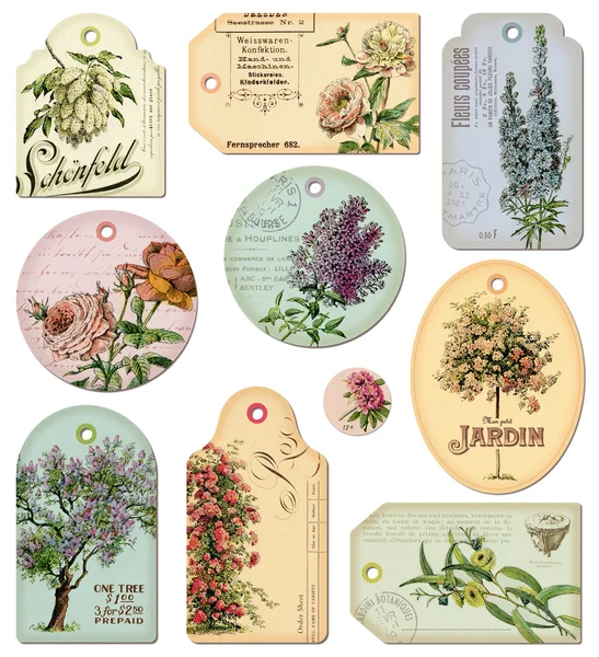 Tag vintage - fiori — Foto Stock
