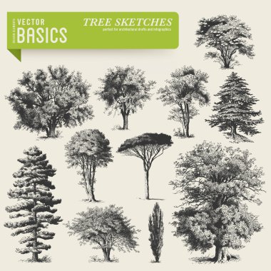 Tree sketches vector