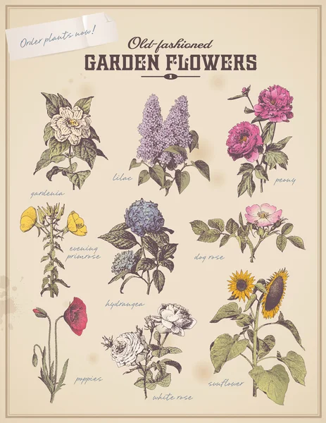 Florist's placard set Stock Vector