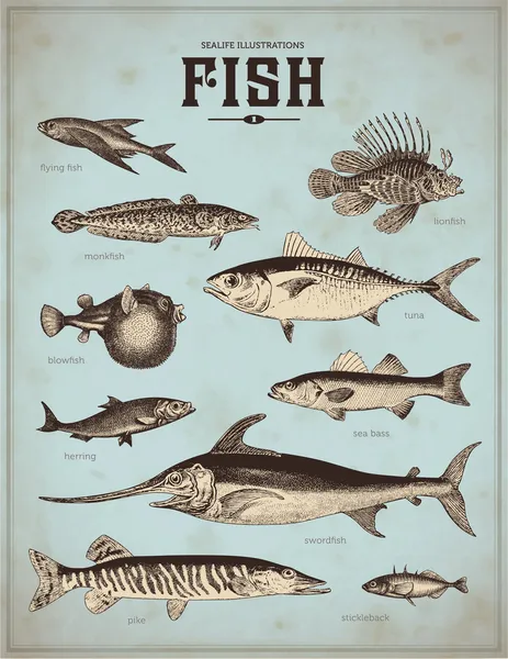 Ensemble de la mer - poissons — Image vectorielle