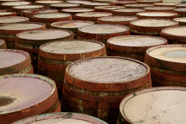 Wooden barrels Stock Photo