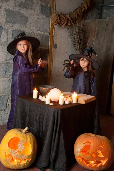 Two little witches — Stock Photo, Image