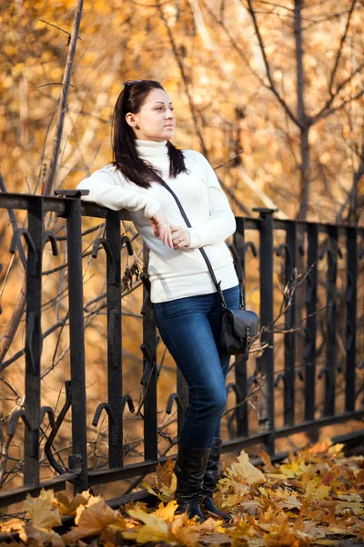 Ragazza di moda nel parco di autunno — Foto Stock