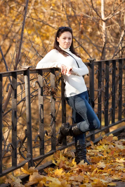 Chica de moda en el parque de otoño — Foto de Stock