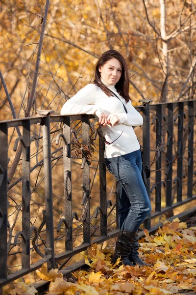 Ragazza di moda nel parco di autunno — Foto Stock