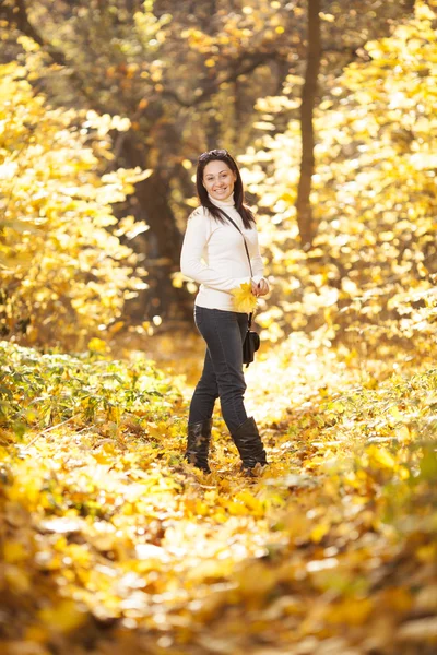Chica de moda en madera de otoño — Foto de Stock