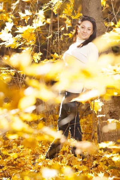 Дівчина моди в осінньому лісі — стокове фото