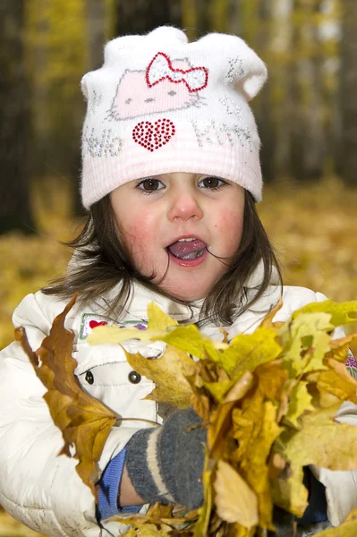 Diversión otoñal, niño feliz en el bosque — Foto de Stock