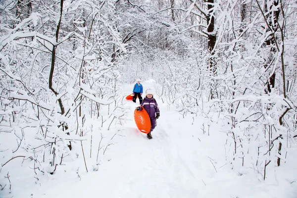 Wunderbares Kind im verschneiten Wald — Stockfoto