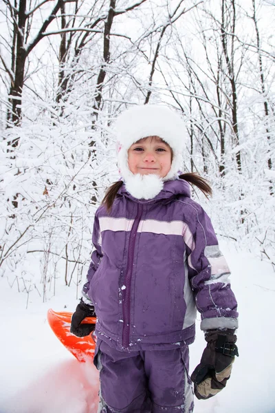 Wonderful child in the snowy woods — Stock Photo, Image