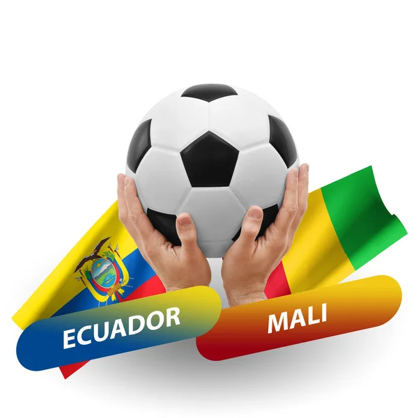 Soccer Football Competition Match National Teams Ecuador Mali — Stock Fotó