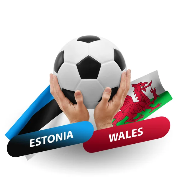 Soccer Football Competition Match National Teams Estonia Wales — Stockfoto
