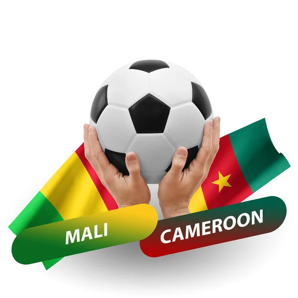 Soccer Football Competition Match National Teams Mali Cameroon — Stock fotografie