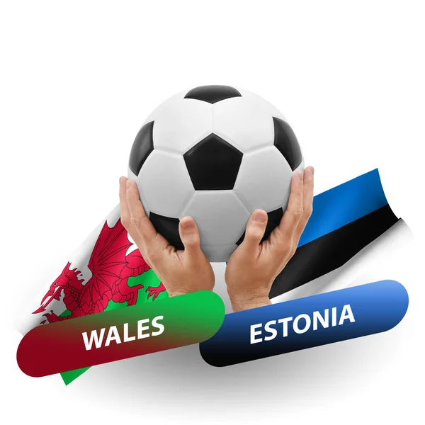 Soccer Football Competition Match National Teams Wales Estonia – stockfoto