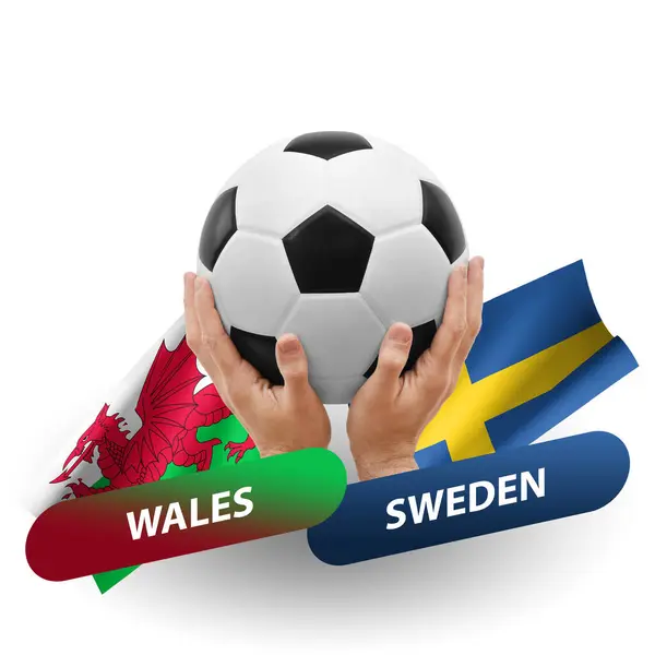 Soccer Football Competition Match National Teams Wales Sweden – stockfoto