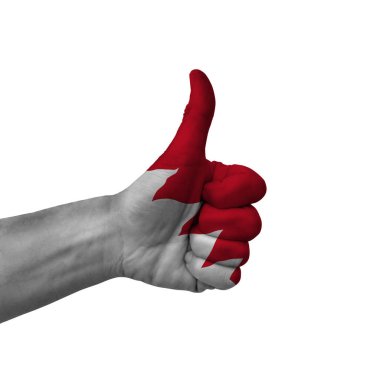 Hand making thumbs up sign, bahrain painted with flag as symbol of thumbs up, like, okay, positive  - isolated on white background