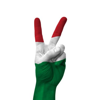 Hand making victory sign, hungary painted with flag as symbol of victory, win, success - isolated on white background