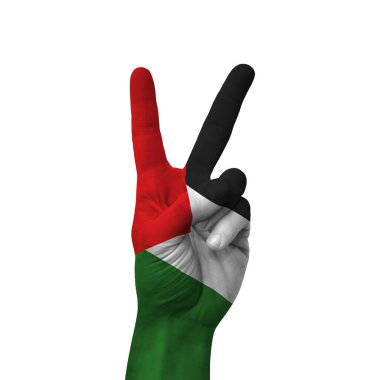 Hand making victory sign, palestine painted with flag as symbol of victory, win, success - isolated on white background