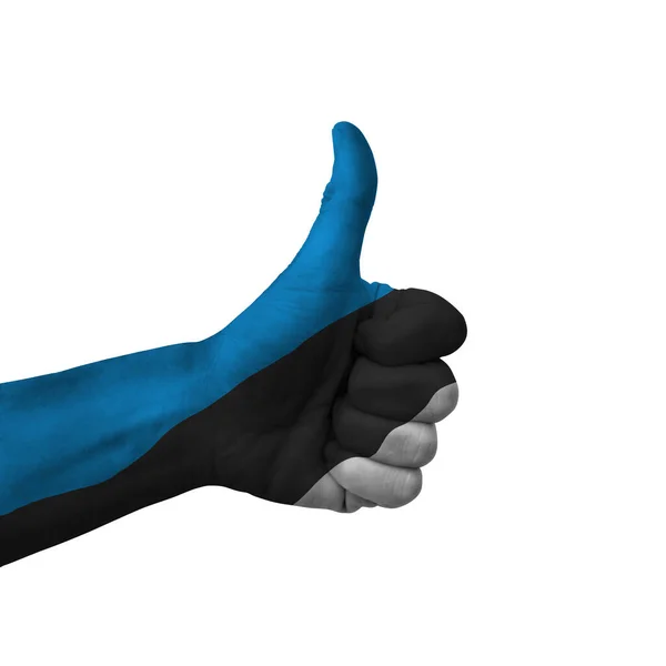 Hand Making Thumbs Sign Estonia Painted Flag Symbol Thumbs Okay — Foto Stock