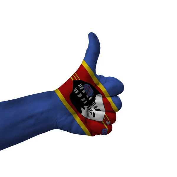 Hand Making Thumbs Sign Swaziland Painted Flag Symbol Thumbs Okay — 图库照片