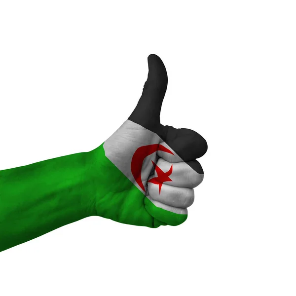 Hand Making Thumbs Sign Western Sahara Painted Flag Symbol Thumbs — Fotografia de Stock