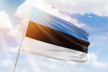 Güneşli mavi gökyüzü ve Estonya bayrağıyla bayrak direği