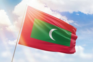 Güneşli mavi gökyüzü ve yaban ördeği bayraklı bayrak direği