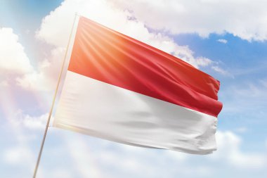 Güneşli mavi gökyüzü ve Monako bayrağıyla bayrak direği