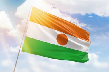 Güneşli mavi gökyüzü ve Nijer bayrağıyla bayrak direği