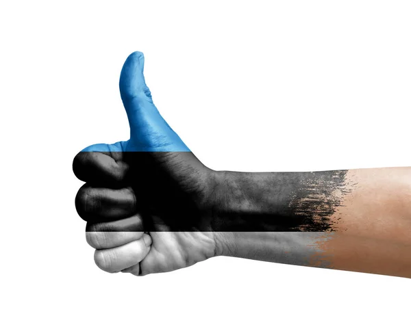 Pulgar Hacia Arriba Pintado Mano Con Bandera Estonia — Foto de Stock