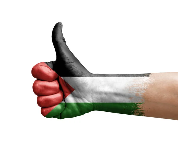 Mão Fazendo Polegar Para Cima Pintado Com Bandeira Palestina — Fotografia de Stock