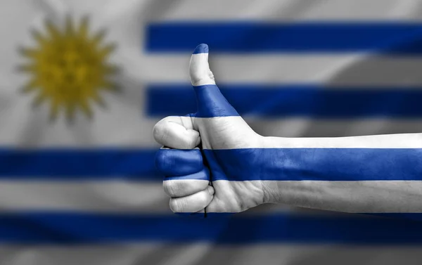 Рука Делает Большой Палец Вверх Окрашенный Флагом Уругвая — стоковое фото