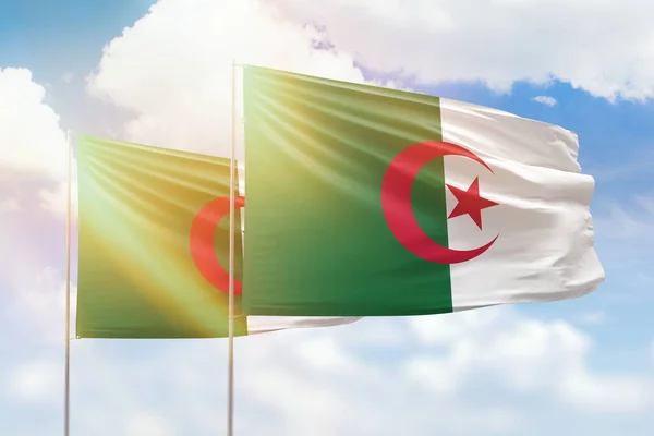 Sunny Blue Sky Flags Algeria Algeria — Stock Photo, Image