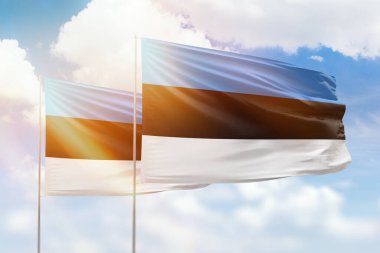 Sunny blue sky and flags of estonia and estonia