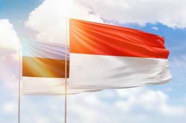 Sunny blue sky and flags of indonesia and estonia