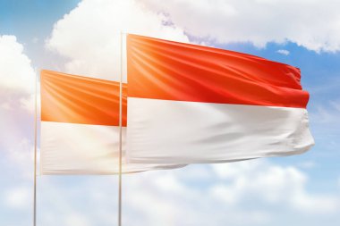 Sunny blue sky and flags of indonesia and indonesia