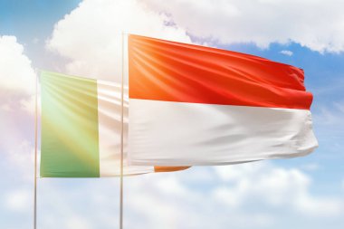 Sunny blue sky and flags of indonesia and ireland