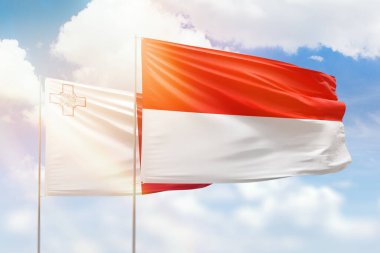Sunny blue sky and flags of indonesia and malta