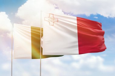 Sunny blue sky and flags of malta and pakistan