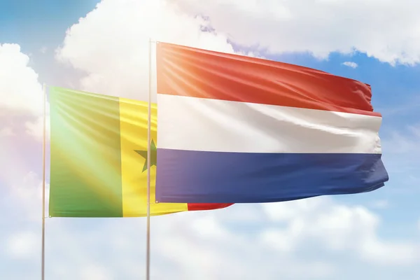 Sunny Blue Sky Flags Netherlands Senegal — 图库照片