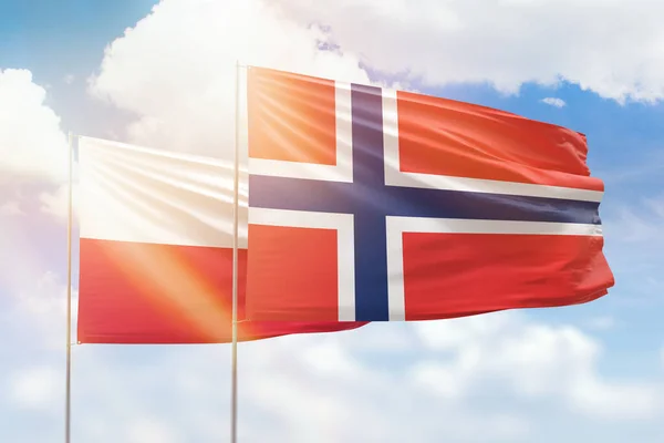 Sunny Blue Sky Flags Norway Poland — 图库照片