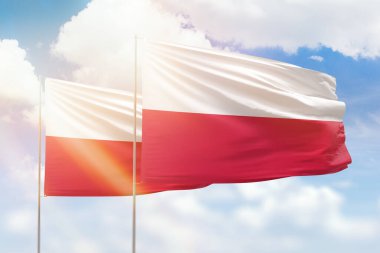 Sunny blue sky and flags of poland and poland