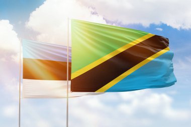 Sunny blue sky and flags of tanzania and estonia