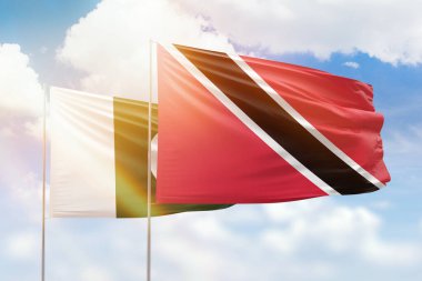 Sunny blue sky and flags of trinidad and tobago and pakistan