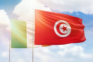 Sunny blue sky and flags of tunisia and ireland