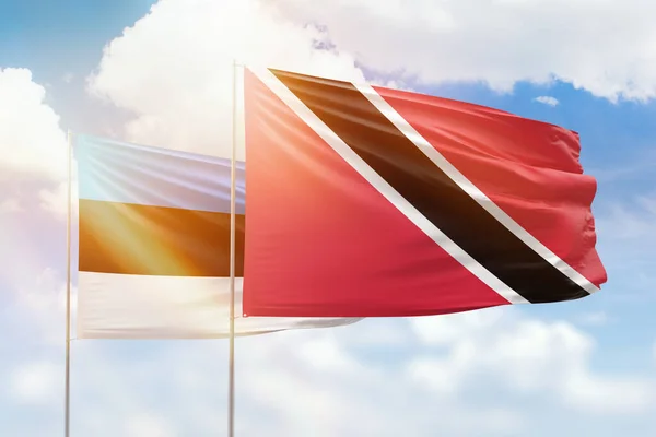 Sunny Blue Sky Flags Trinidad Tobago Estonia — 图库照片