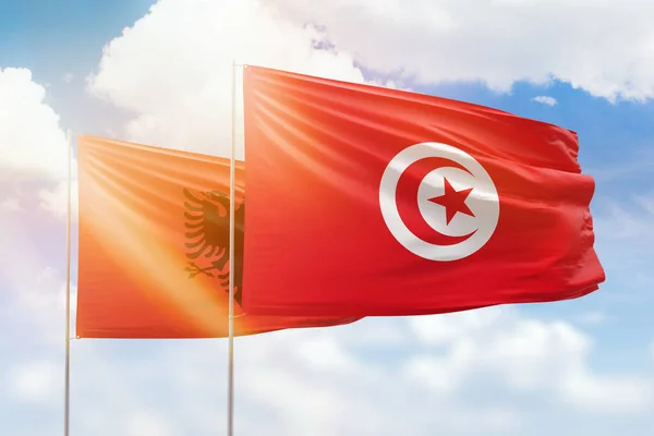 Sunny Blue Sky Flags Tunisia Albania — Stockfoto